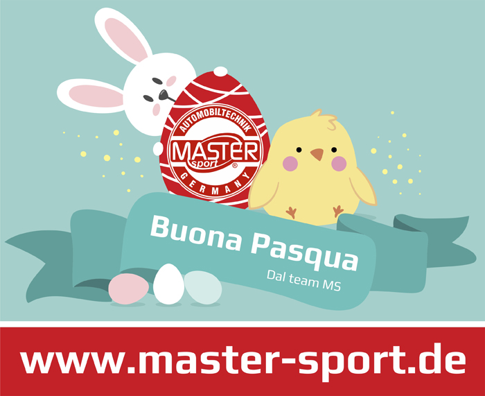 🐣 Buona Pasqua 🐏 Dal team MS 🐇